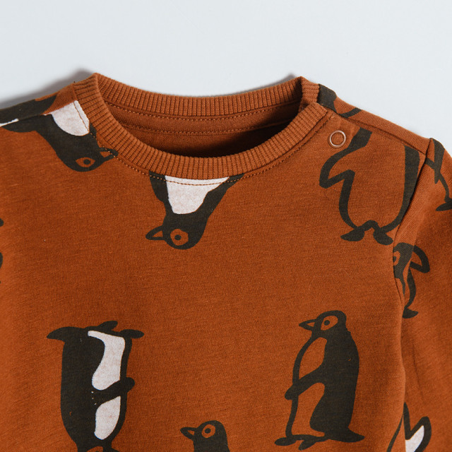 Тениска с дълъг ръкав, цвят: Кафяв