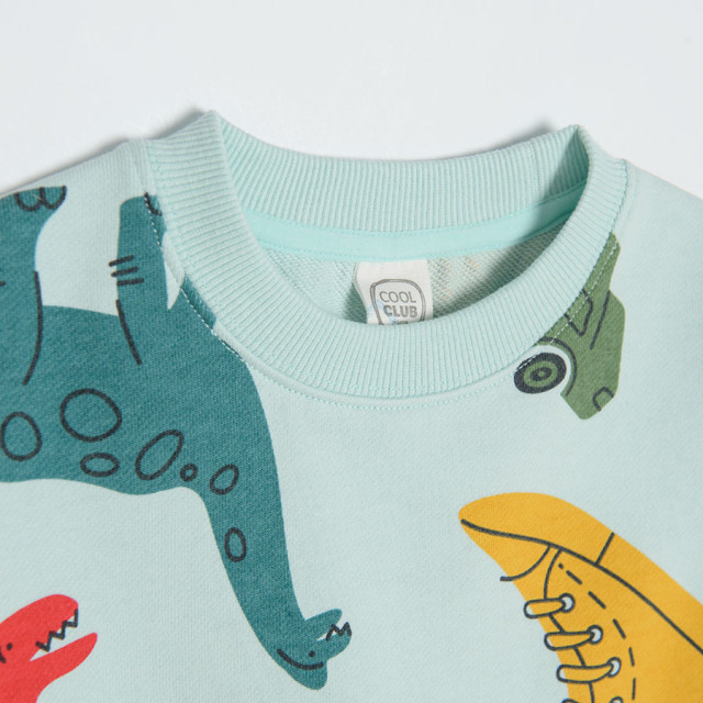 Блуза с дълъг ръкав, цвят: Тюркоазен