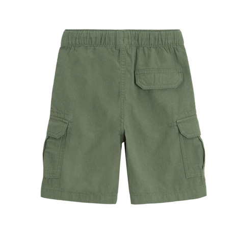 Шорти, цвят: Зелен