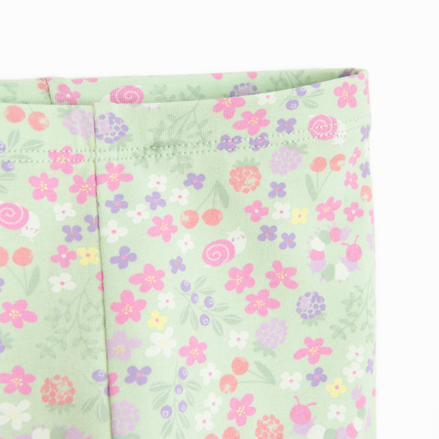 Клин, цвят: Светло зелен