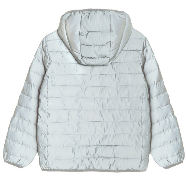 Яке, цвят: Сребрист