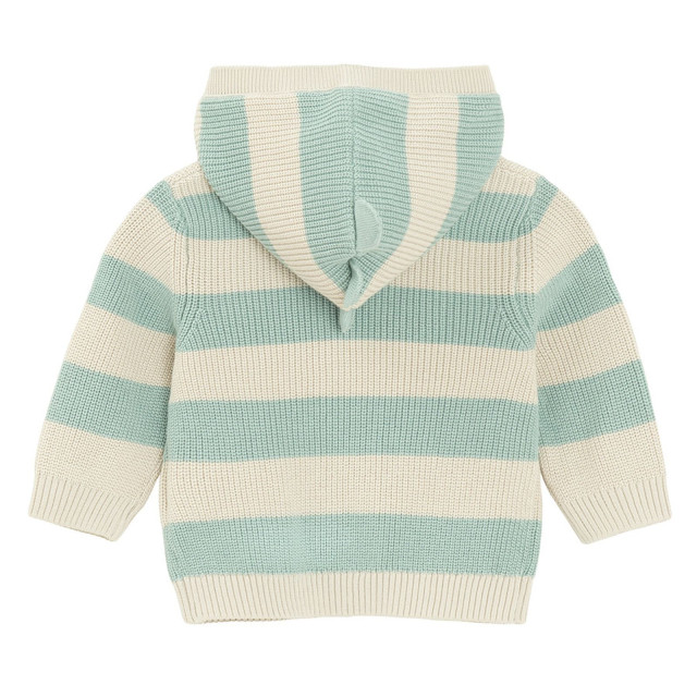 Жилетка, цвят: Зелен