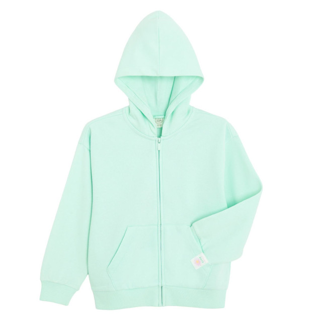 Суитчър, цвят: Зелен