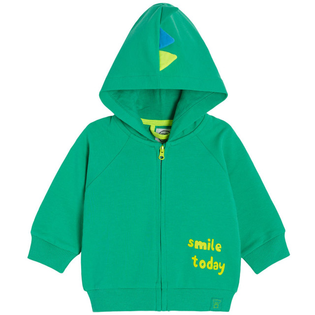 Блуза с дълъг ръкав, цвят: Зелен