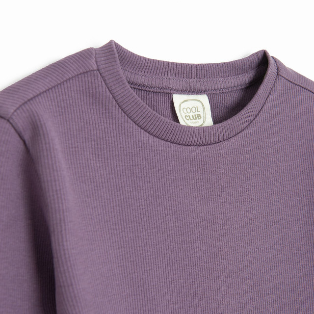 Тениска с дълъг ръкав, цвят: Виолетов