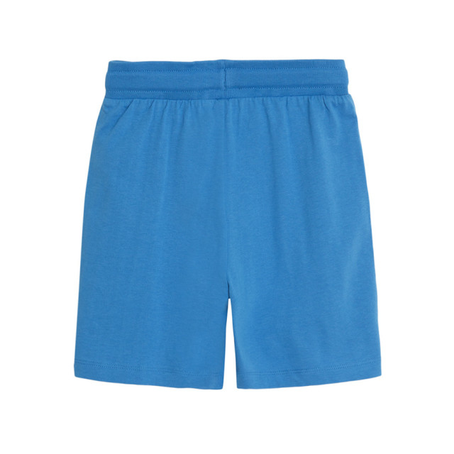 Шорти, цвят: Син