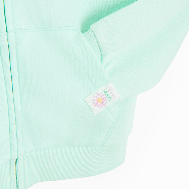 Суитчър, цвят: Зелен