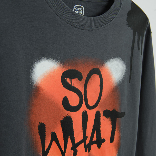 Тениска с дълъг ръкав, цвят: Сив