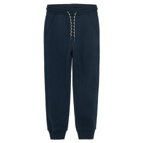 Спортен панталон, цвят: Син