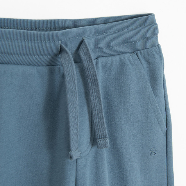 Спортен панталон, цвят: Син