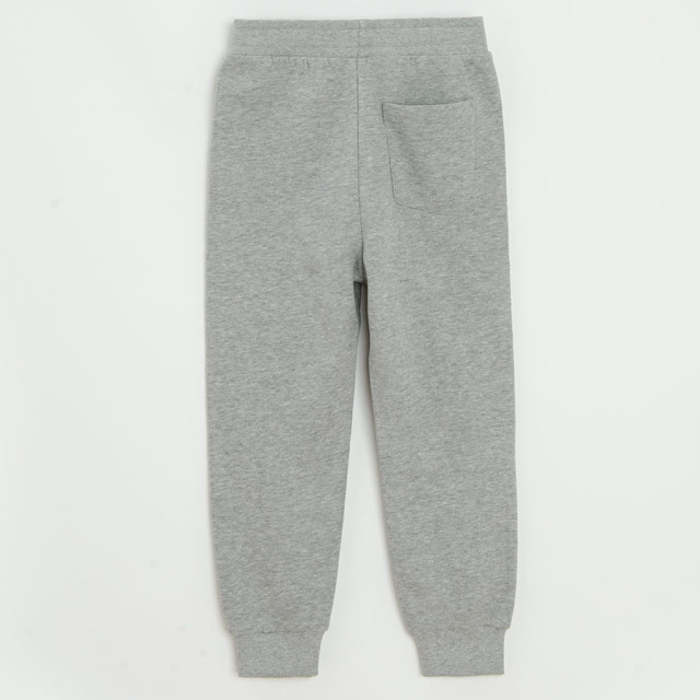 Спортен панталон, цвят: Сив меланж