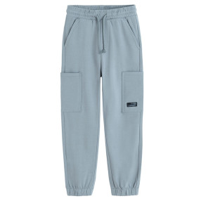 Спортен панталон, цвят: Сив