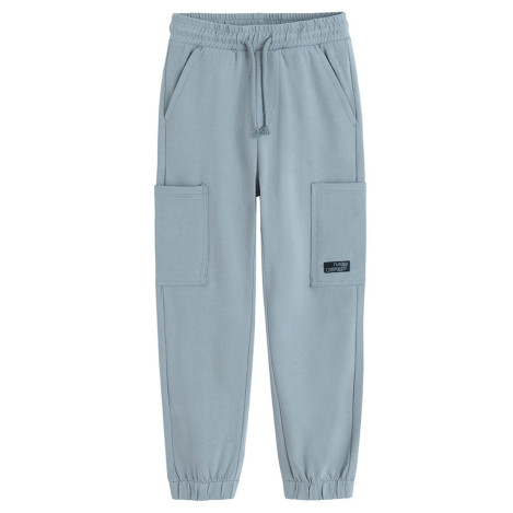 Спортен панталон, цвят: Сив