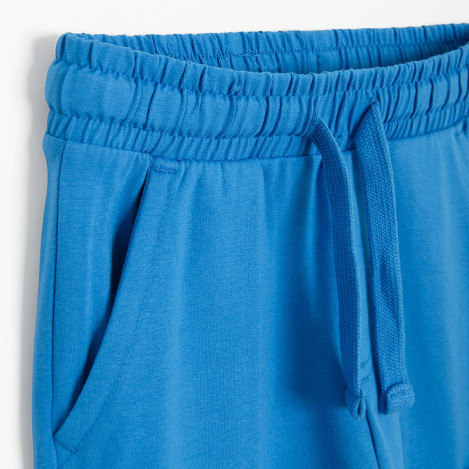 Спортен панталон, цвят: Син