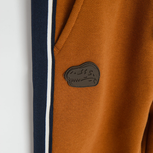 Спортен панталон, цвят: Кафяв