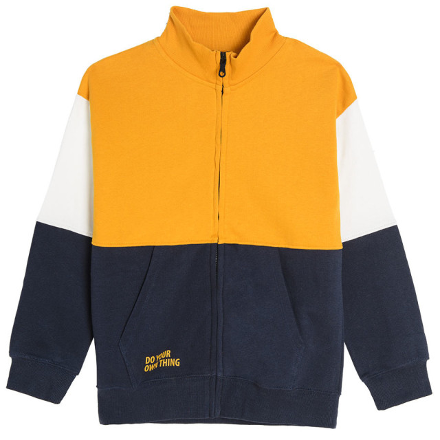 Суитчър, цвят: Микс