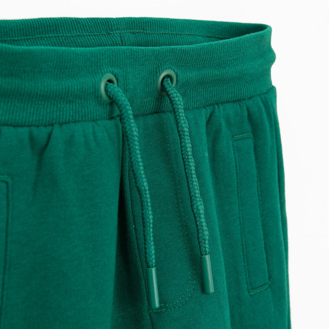 Спортен панталон JURASSIC WORLD, цвят: Зелен