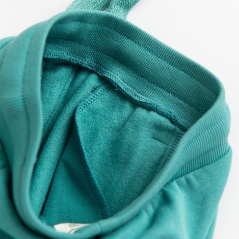 Спортен панталон, цвят: Тюркоазен