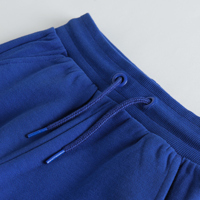 Спортен панталон, цвят: Син