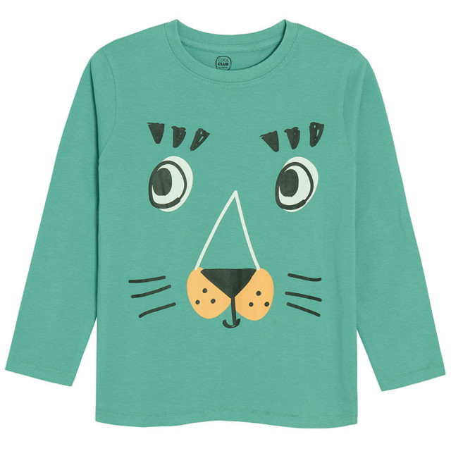 Тениска с дълъг ръкав, цвят: Зелен