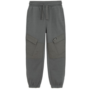 Спортен панталон, цвят: Сив