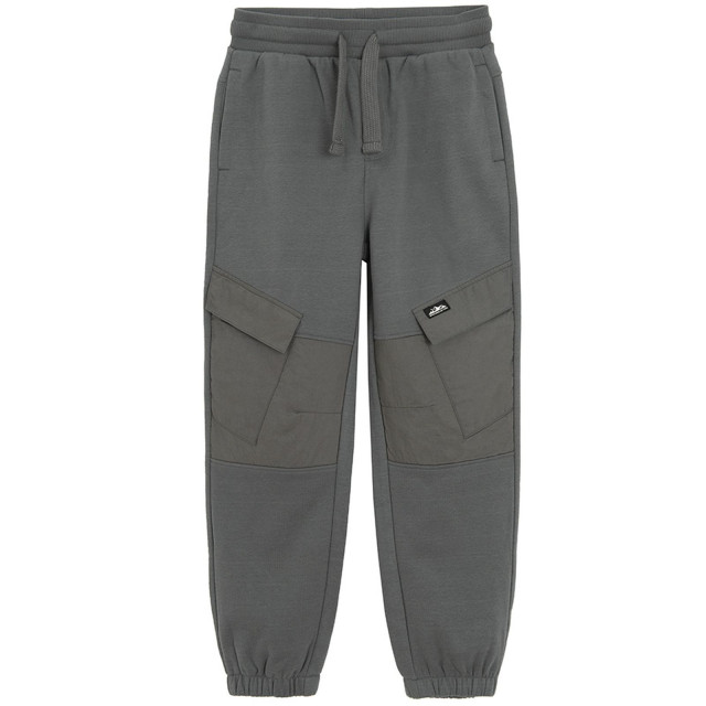 Спортен панталон, цвят: Сив