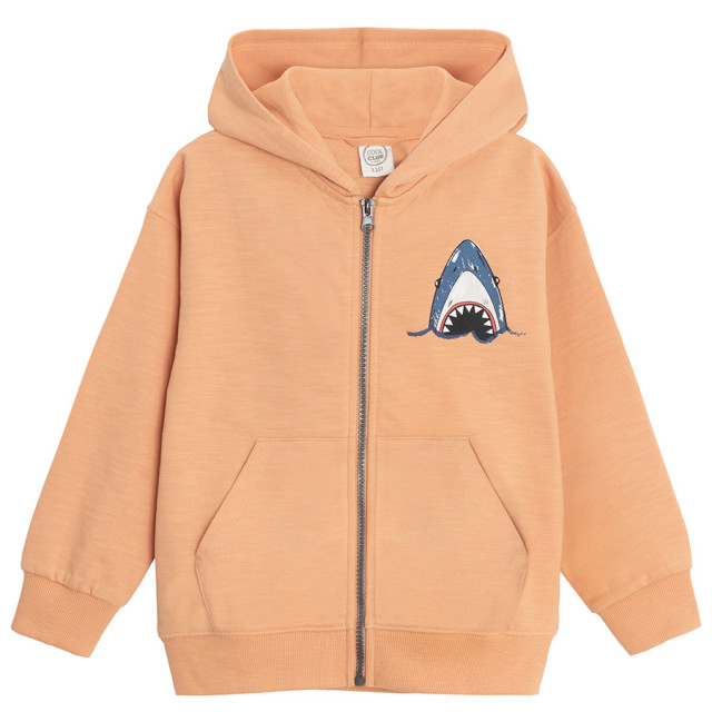 Суитчър, цвят: Оранжев