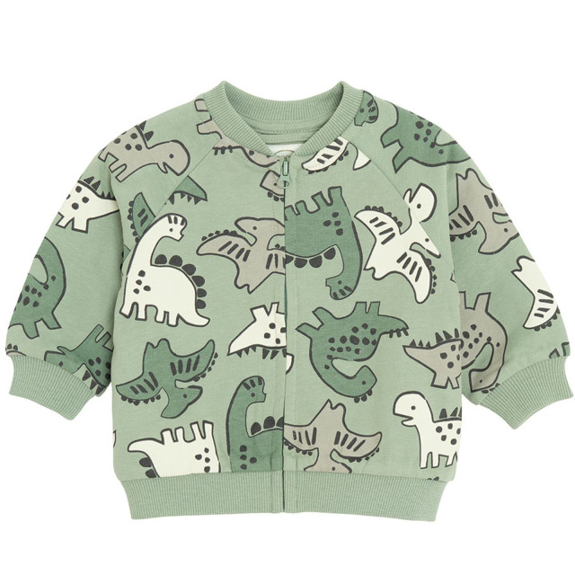 Яке, цвят: Зелен