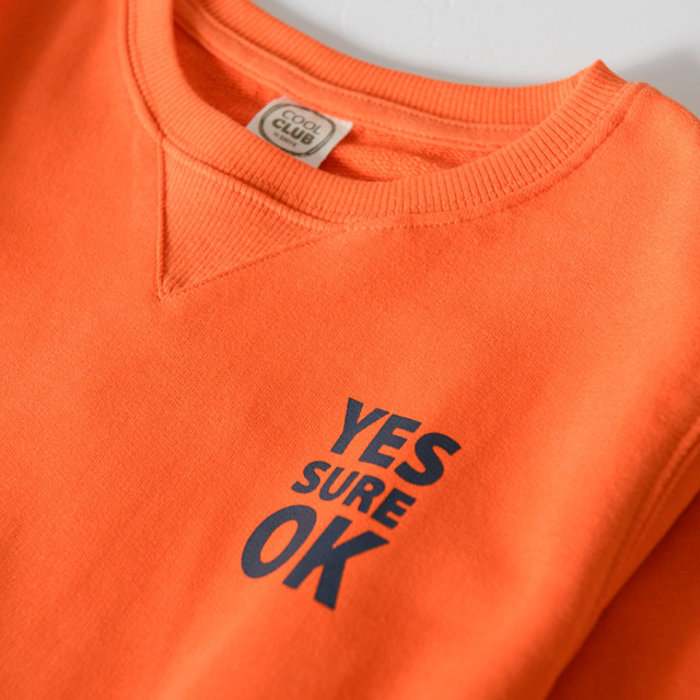 Блуза с дълъг ръкав, цвят: Червен