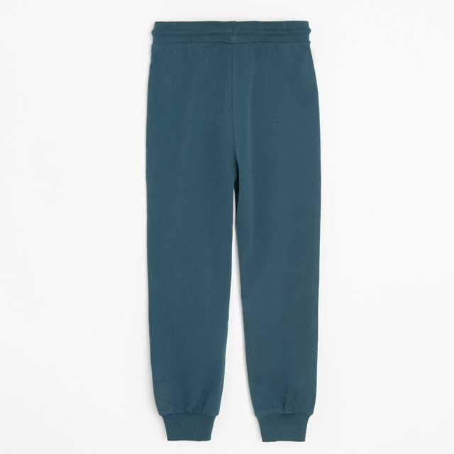 Спортен панталон, цвят: Морско син