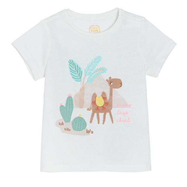 Тениска с къс ръкав 3бр., цвят: Микс