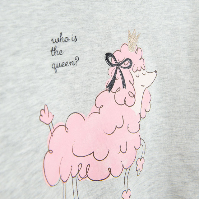 Блуза с дълъг ръкав, цвят: Сив