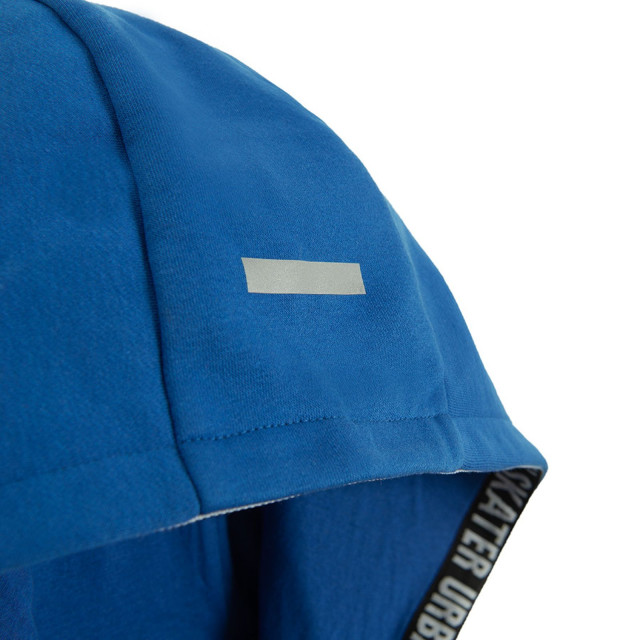 Суитчър, цвят: Син