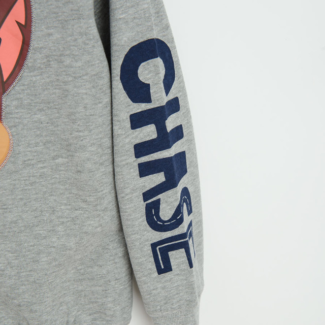 Блуза с дълъг ръкав PAW PATROL, цвят: Сив меланж