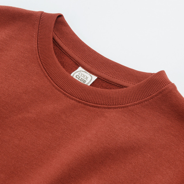 Блуза с дълъг ръкав, цвят: Керемиден