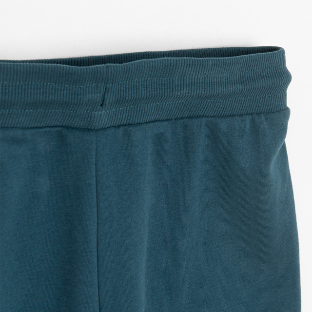 Спортен панталон, цвят: Морско син