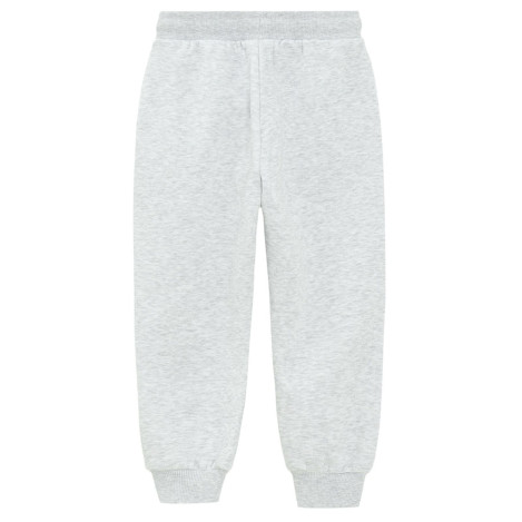 Спортен панталон, цвят: Сив
