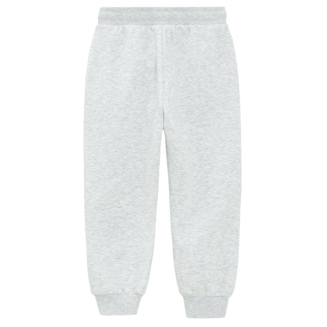 Спортен панталон, цвят: Сив