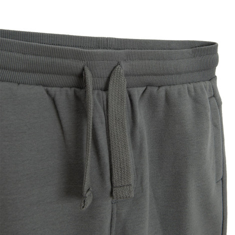 Спортен панталон, цвят: Сив