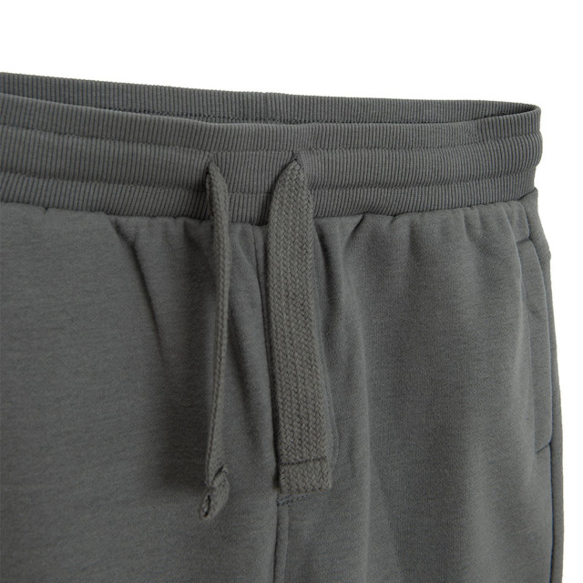 Спортен панталон, цвят: Сив