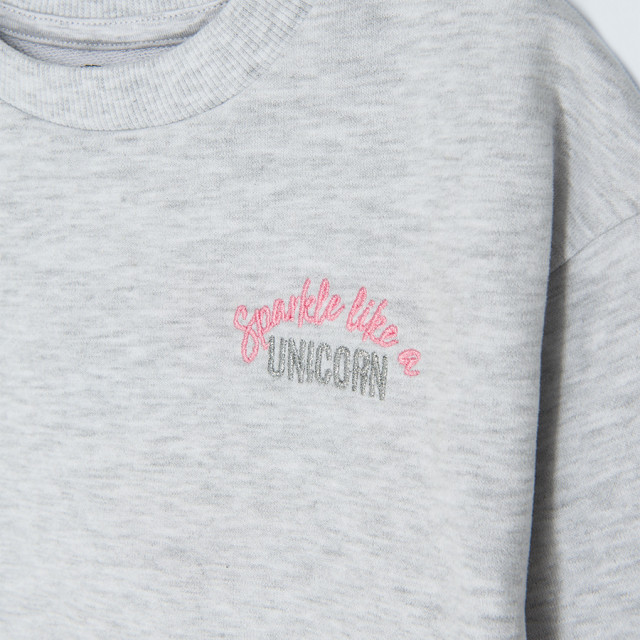 Блуза с дълъг ръкав PAW PATROL, цвят: Сив меланж