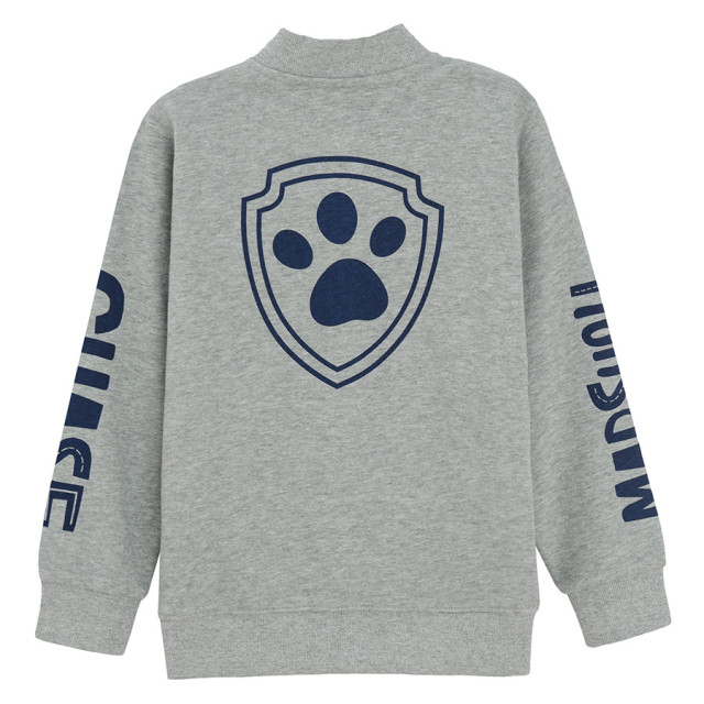 Блуза с дълъг ръкав PAW PATROL, цвят: Сив меланж