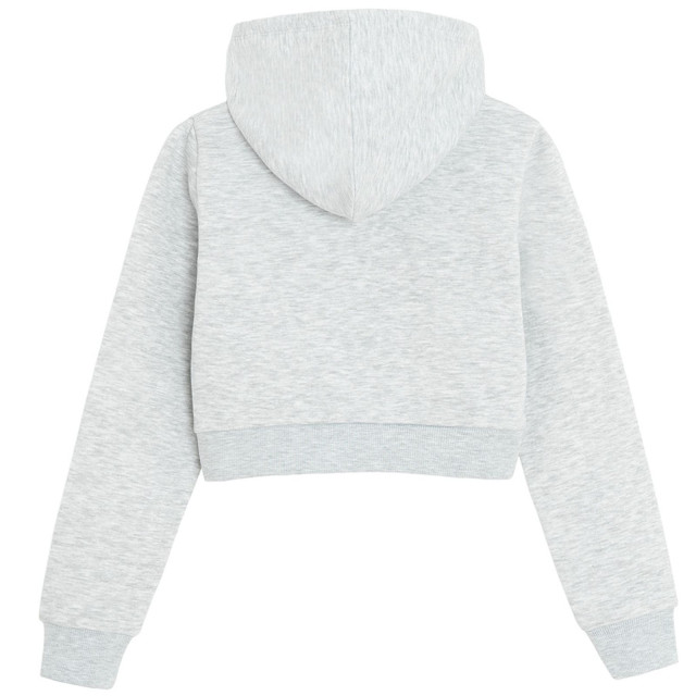 Суитчър, цвят: Сив