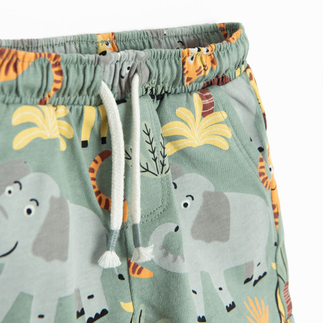 Шорти, цвят: Зелен