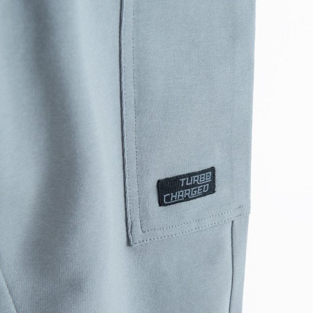 Спортен панталон, цвят: Сив