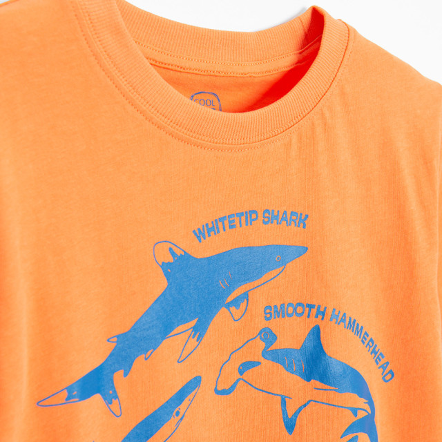 Тениска с къс ръкав, цвят: Оранжев