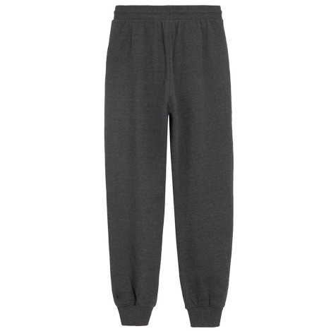 Спортен панталон, цвят: Сив