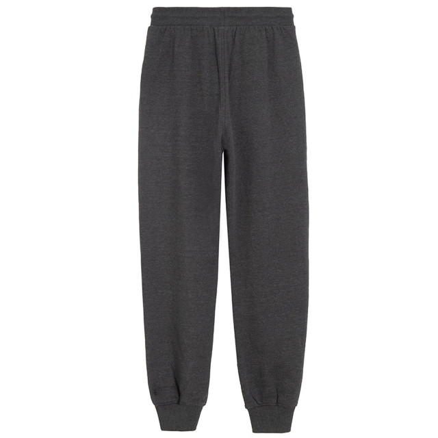 Спортен панталон, цвят: Сив