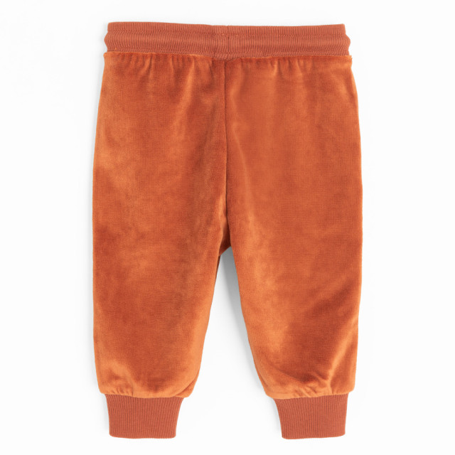 Спортен панталон, цвят: Кафяв