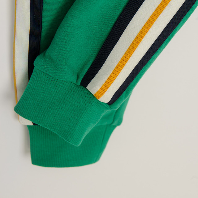 Спортен панталон, цвят: Зелен